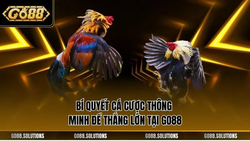 Bí quyết cá cược thông minh để thắng lớn tại GO88