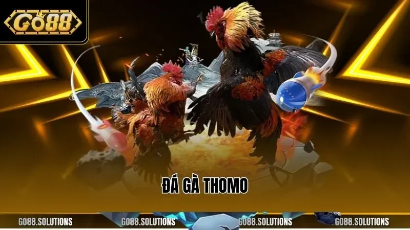 đá gà thomo