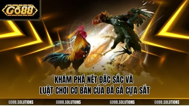 Khám phá nét đặc sắc và luật chơi cơ bản của đá gà cựa sắt