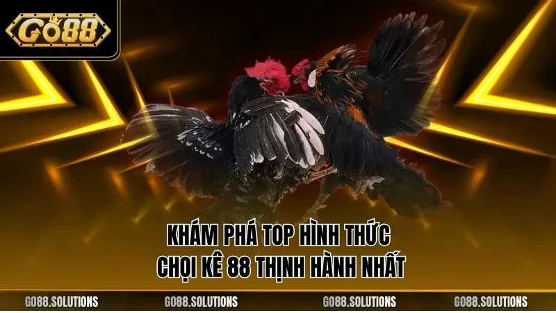 Khám phá top hình thức chọi kê 88 thịnh hành nhất
